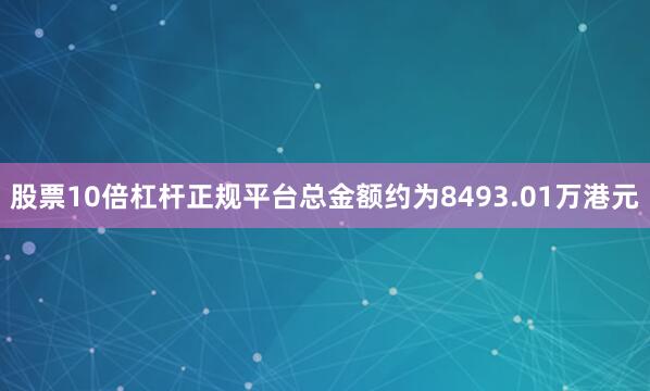 股票10倍杠杆正规平台总金额约为8493.01万港元