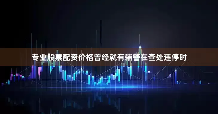 专业股票配资价格曾经就有辅警在查处违停时
