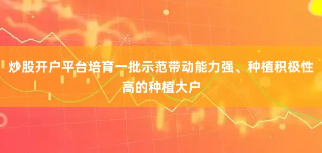 炒股开户平台培育一批示范带动能力强、种植积极性高的种植大户