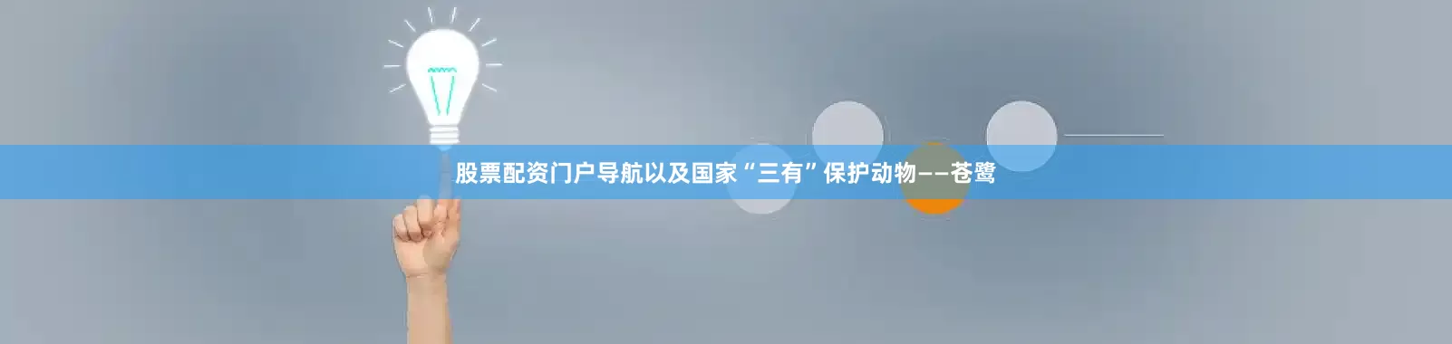 股票配资门户导航以及国家“三有”保护动物——苍鹭