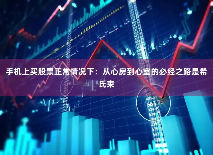 手机上买股票正常情况下：从心房到心室的必经之路是希氏束